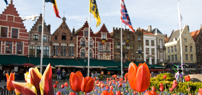 Tulips on the Market