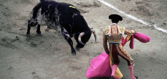 Bull Fight in Madrid